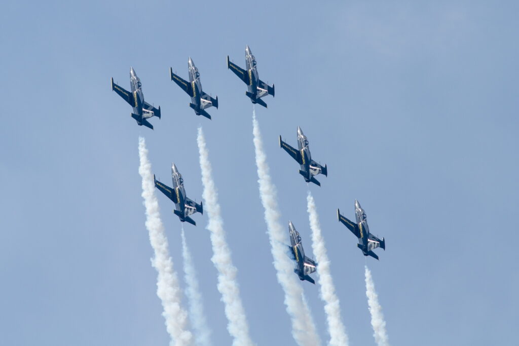 Aero L-39 Albatros &quot;Breitling Jet Team&quot; Private