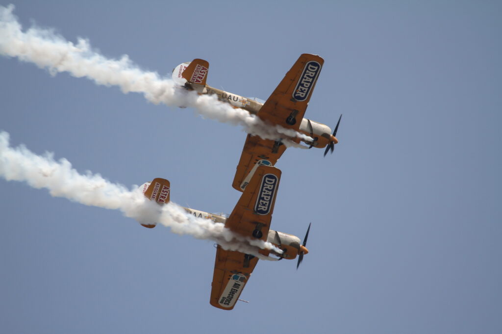 Yakovlev Yak-52TW Iacarii Acrobati