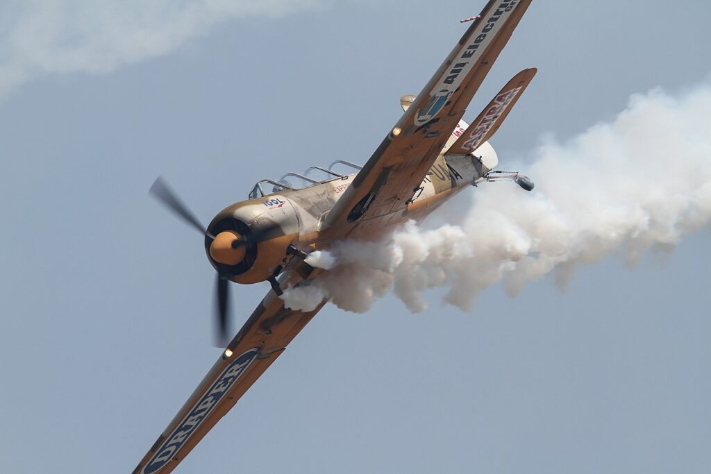 Yakovlev Yak-52TW  Iacarii Acrobati