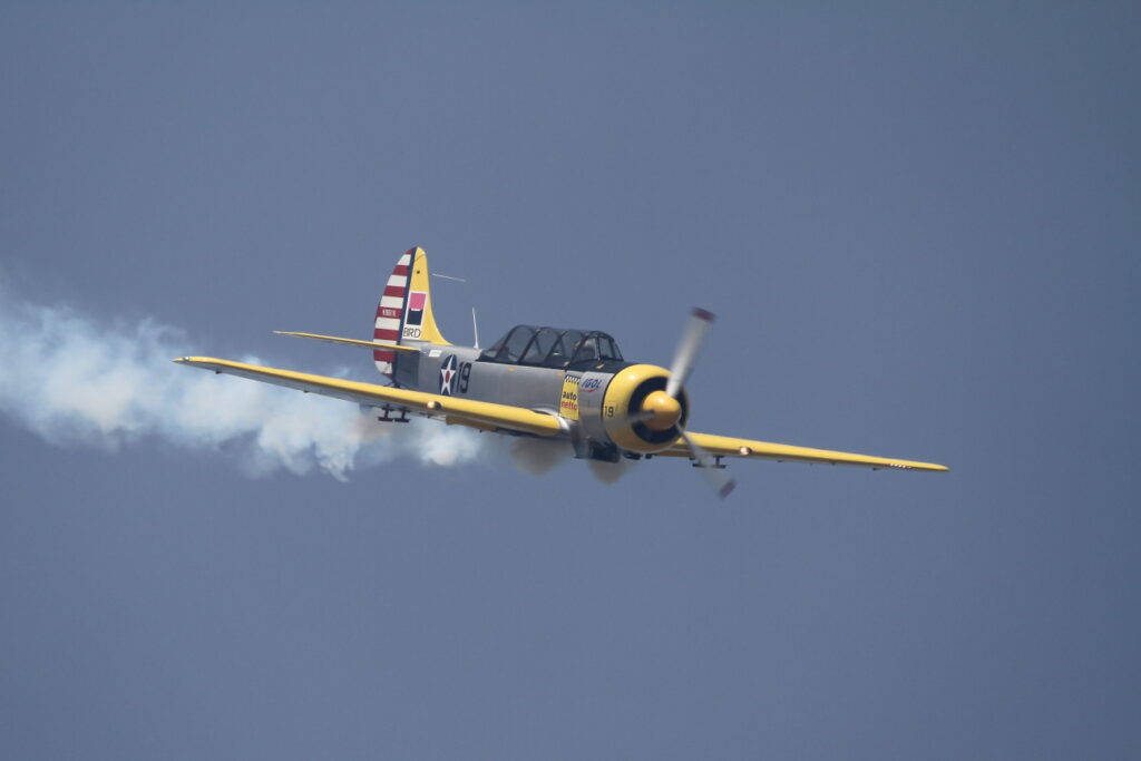 Aerostar Bacau Yak-52  Iacarii Acrobati