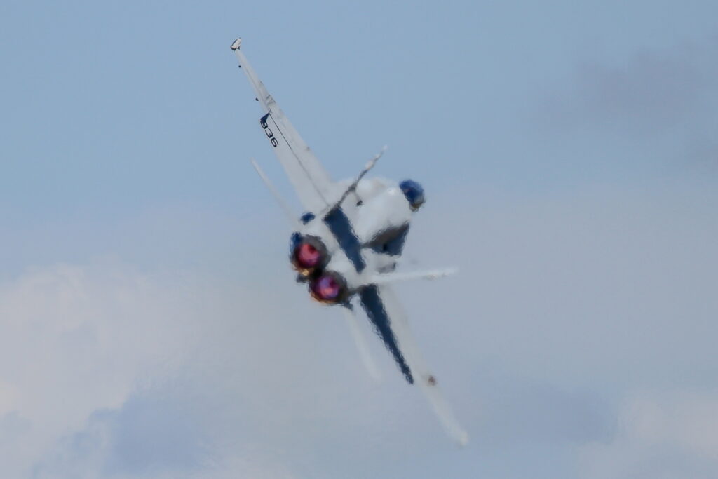 McDonnell Douglas F/A-18C &quot;Hornet&quot;  United States - US Navy (USN)