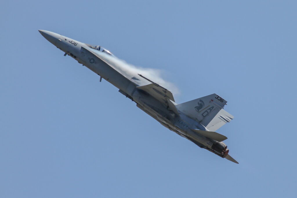 McDonnell Douglas F/A-18C &quot;Hornet&quot;  United States - US Navy (USN)