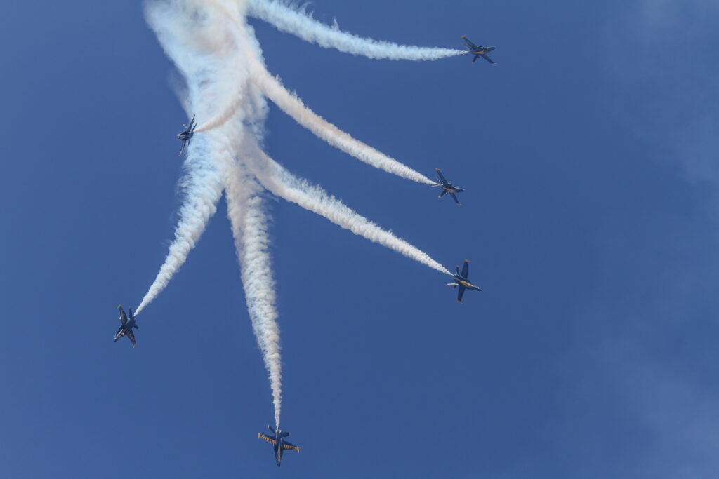 McDonnell Douglas F/A-18 Hornet  &quot;Blue Angels&quot; United States - US Navy (USN)