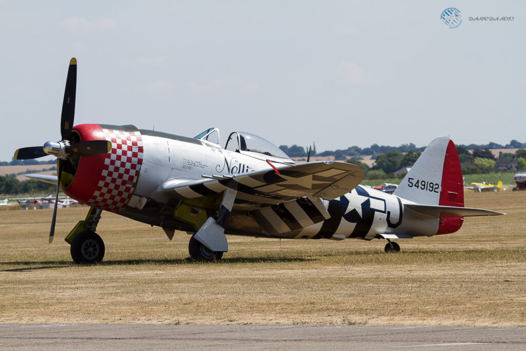 Republic P-47D Thunderbolt &quot;Nellie&quot; Private