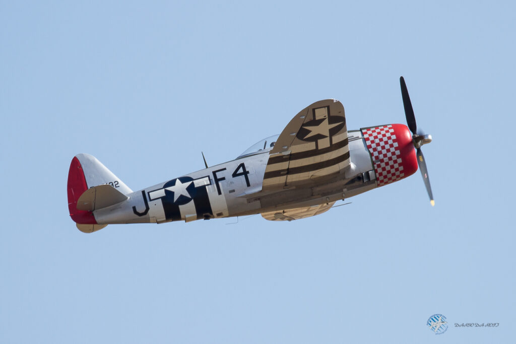 Republic P-47D Thunderbolt &quot;Nellie&quot; Private