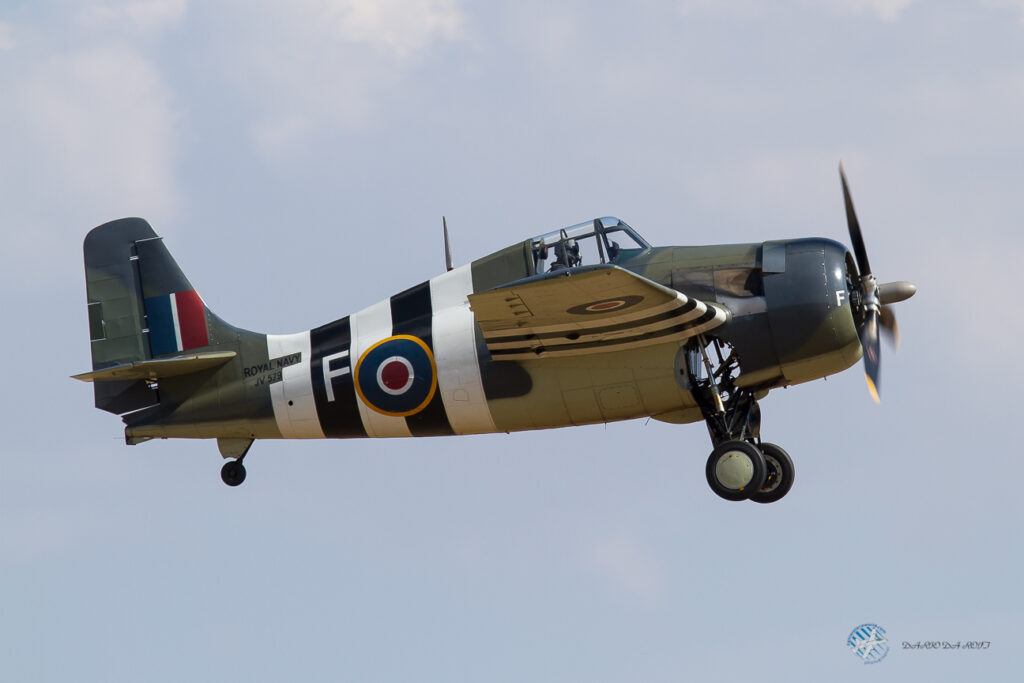 Grumman Wildcat FM2  The Fighter Collection