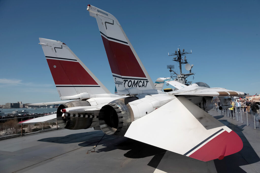 Grumman F-14D &quot;Tomcat&quot; United States - US Navy (USN)