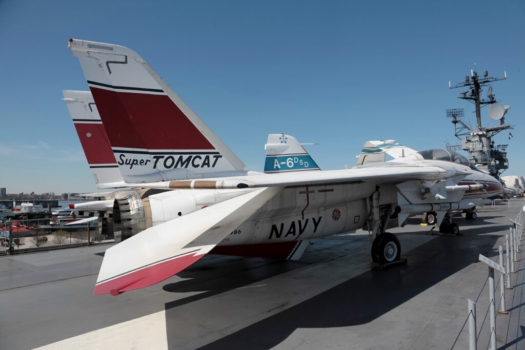 Grumman F-14D &quot;Tomcat&quot; United States - US Navy (USN)