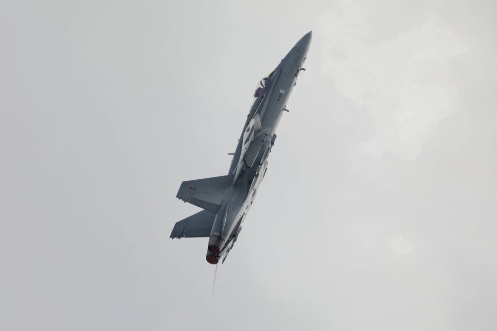 McDonnell Douglas F/A-18C &quot;Hornet&quot; Finland - Air Force