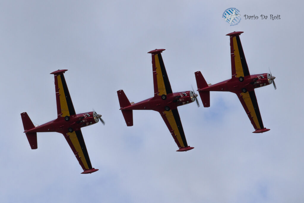 SIAI-Marchetti SF260D Belgium - Air Force